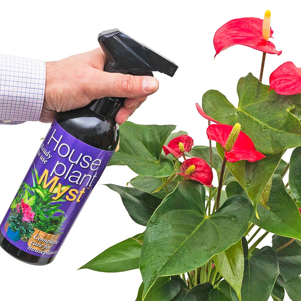 Houseplant Myst - Complete Care - Application