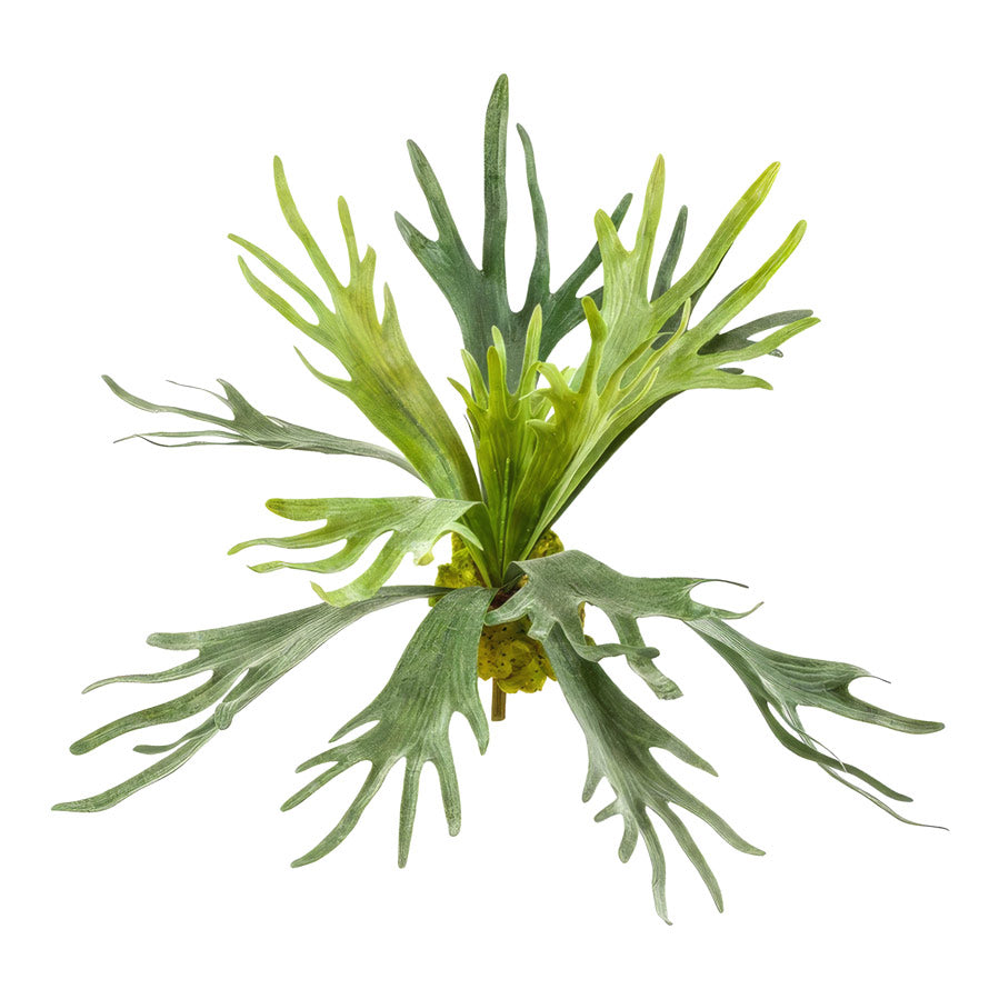 Staghorn Fern 48cm Artificial