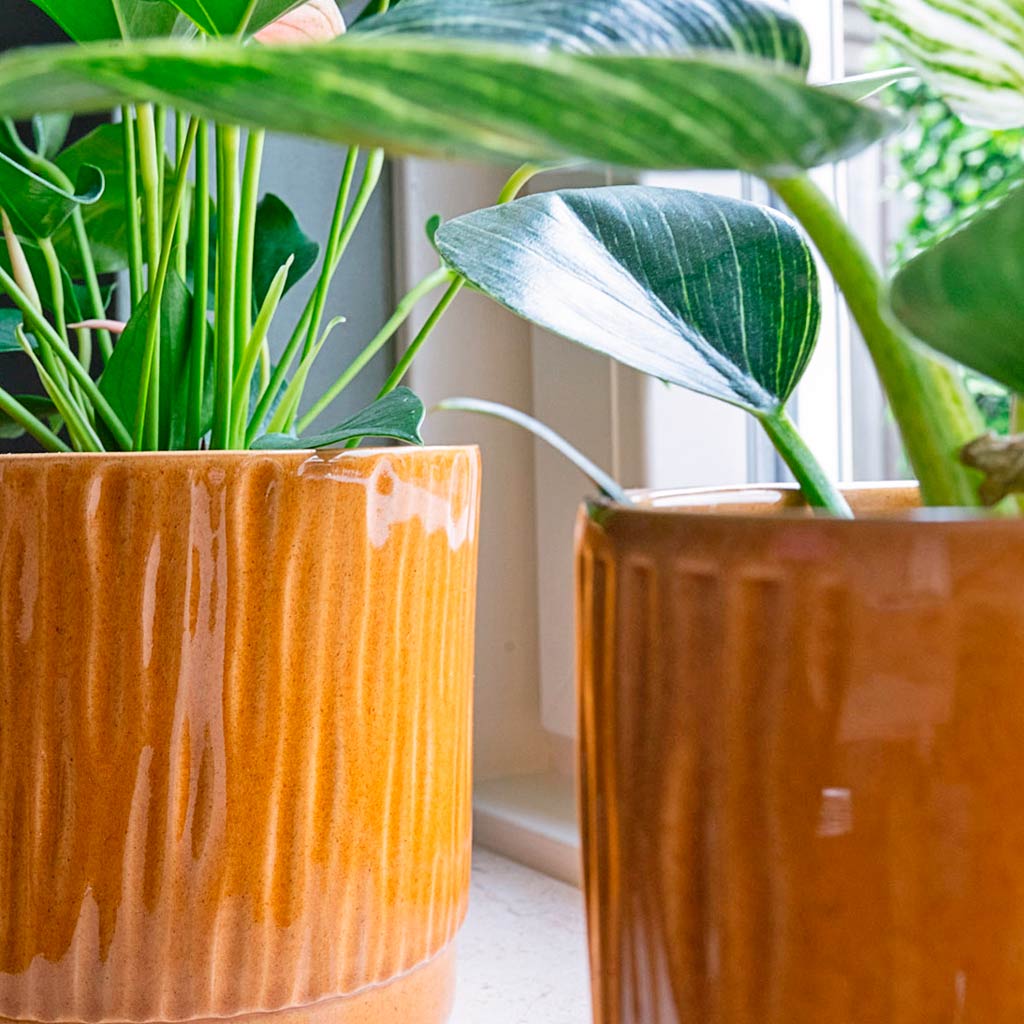 mustard plant pots indoor Stella Plant Pot - Mustard - Quality Plant Pots