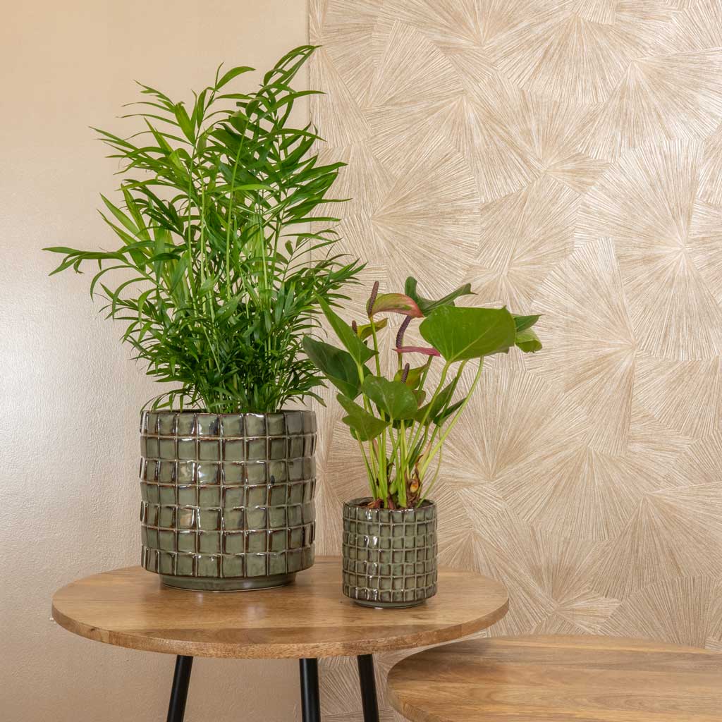 Stian Plant Pot - Moss Green