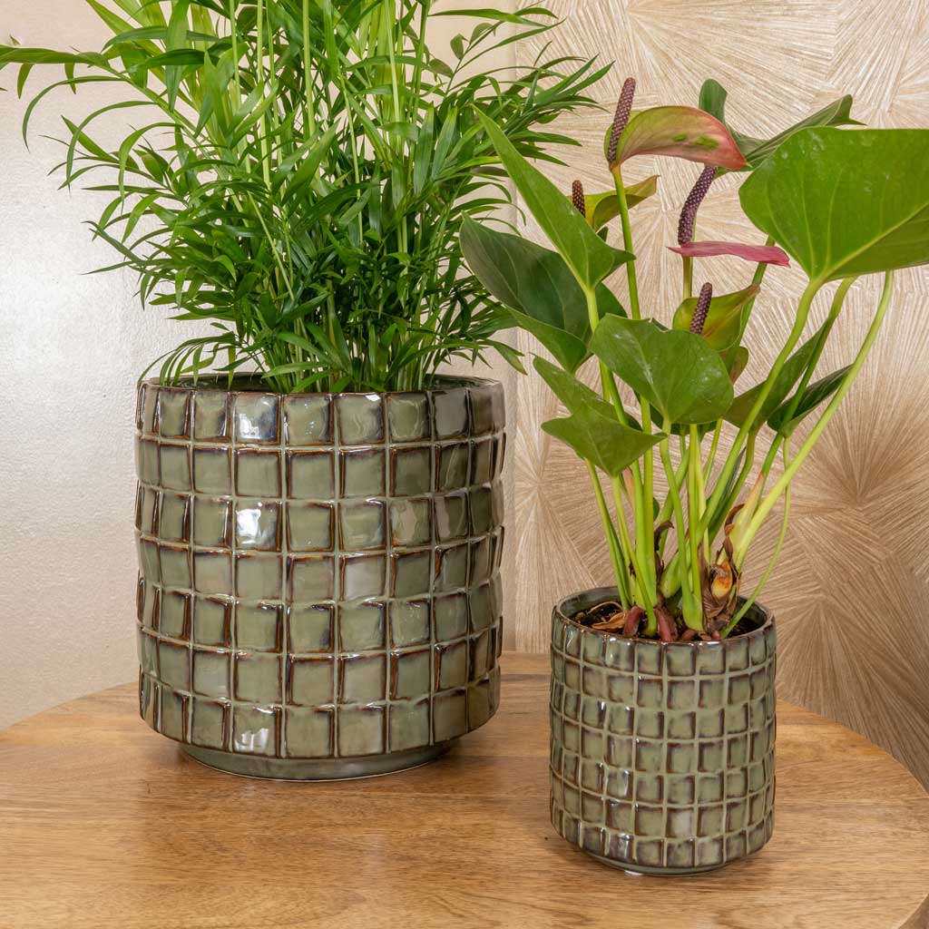 Stian Plant Pot - Moss Green With Houseplants