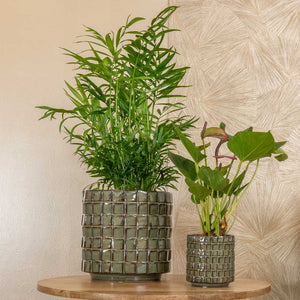 Stian Plant Pot - Moss Green And Houseplants On Side Table