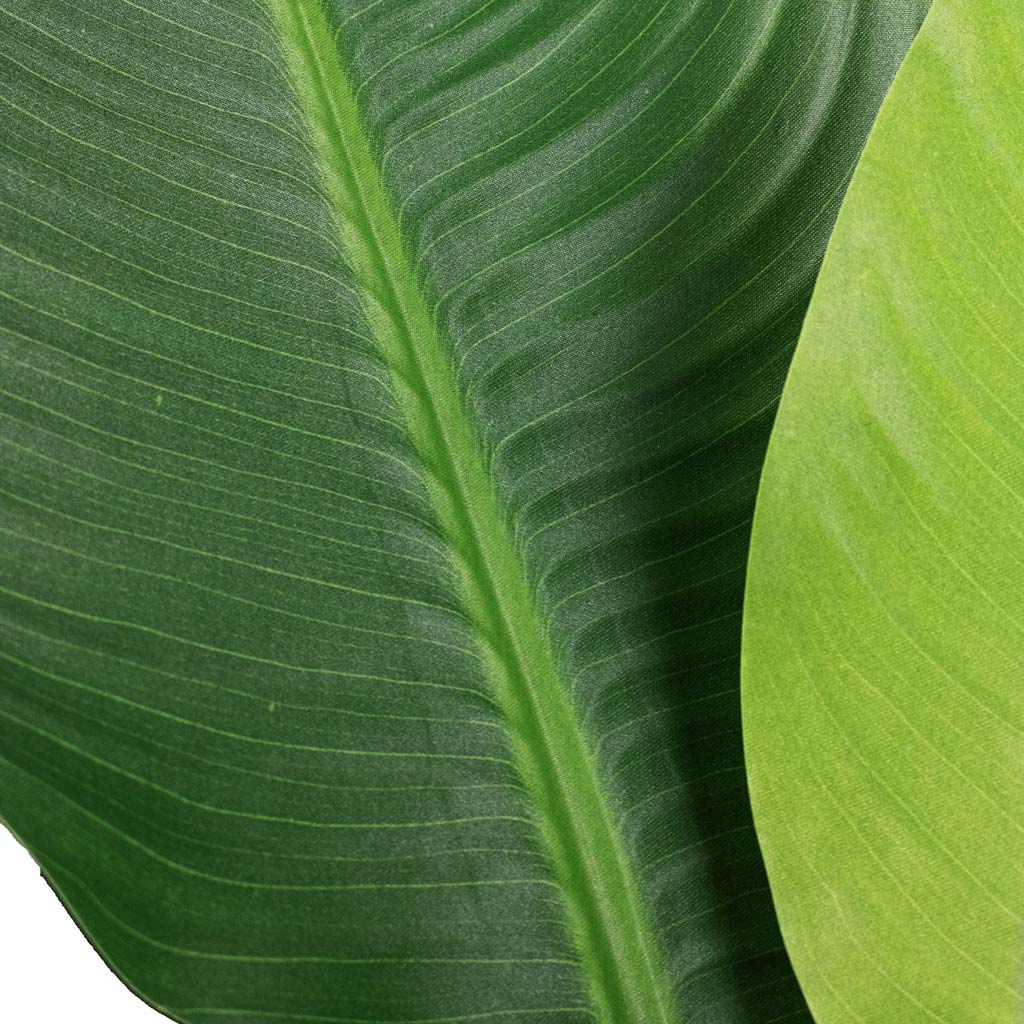 Strelitzia Bird of Paradise Artificial Close  Up Of Leaves