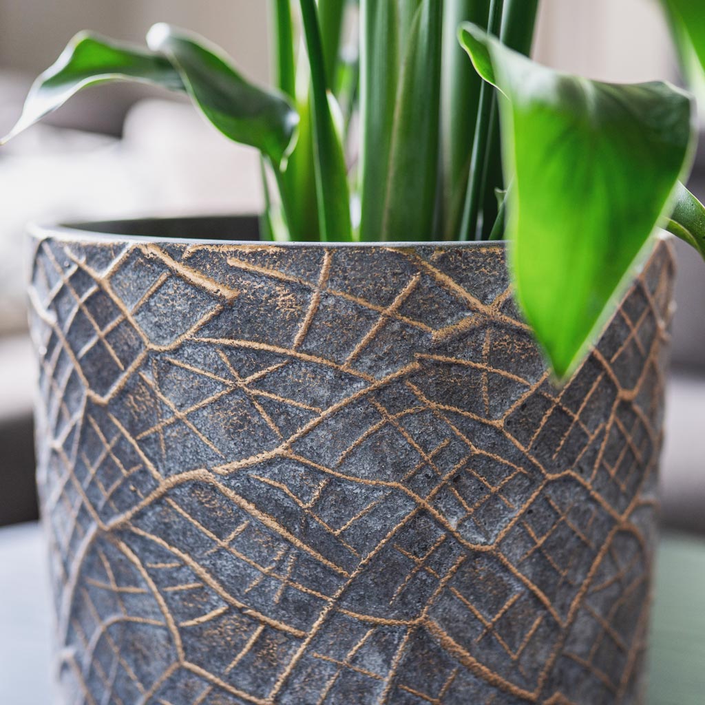 Denzel Pot Shiny Concrete with Leafy Houseplant