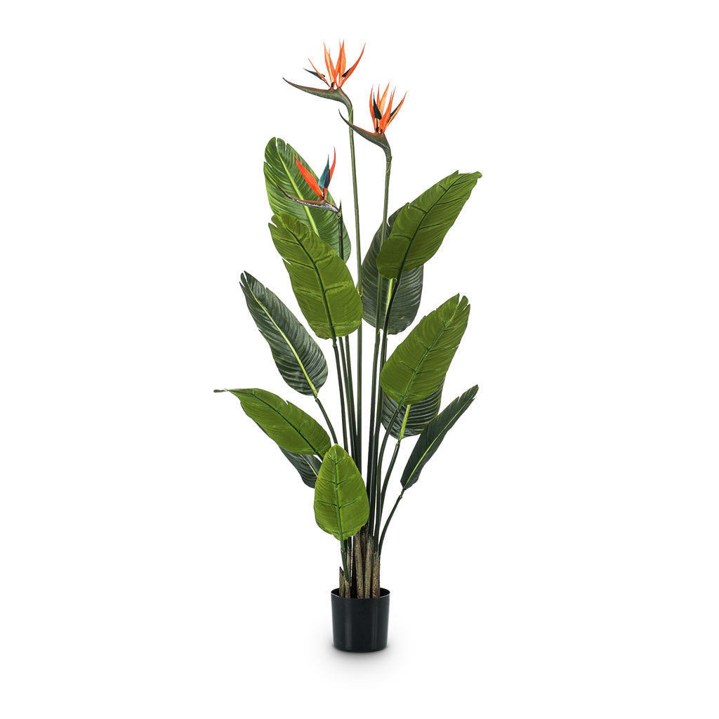 Strelitzia Tree Flowers Artifical - 120cm