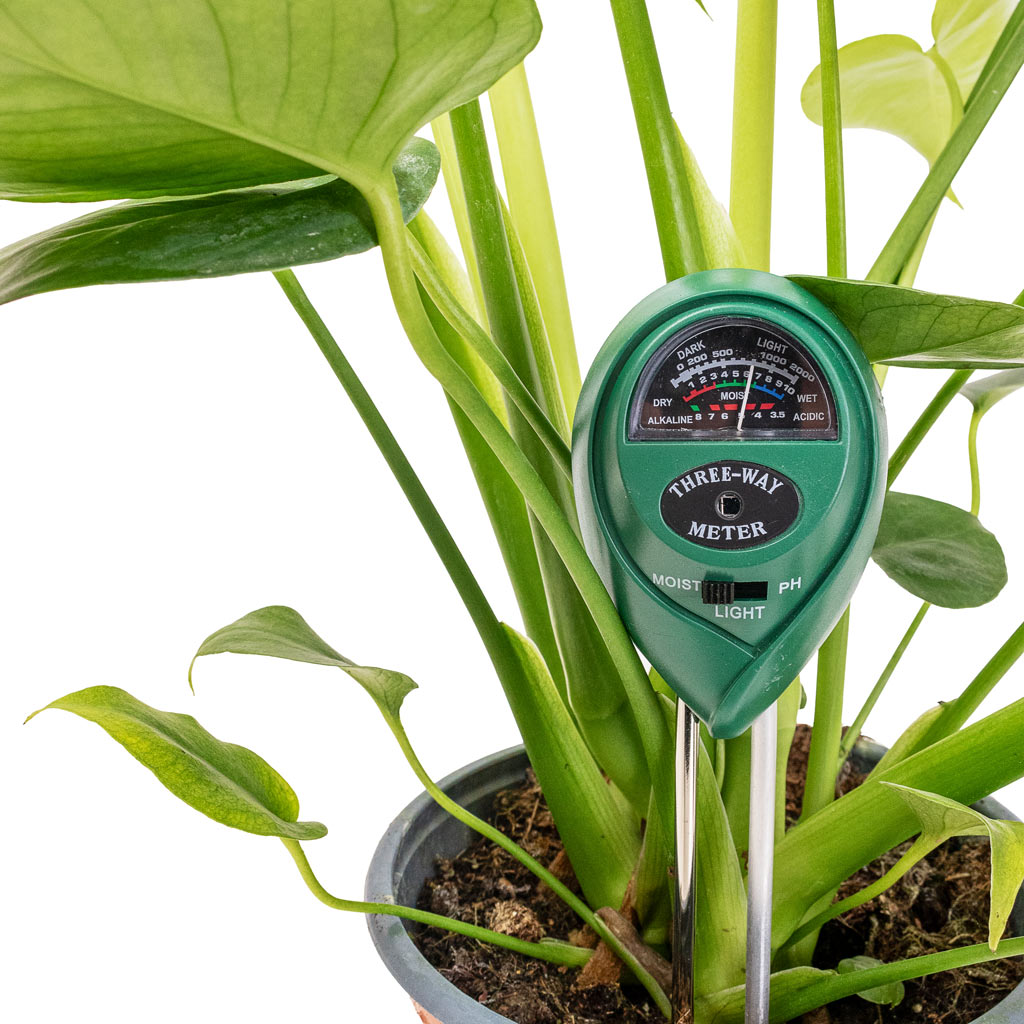 PH Moisture Light Meter  In Moisture Metering Mode