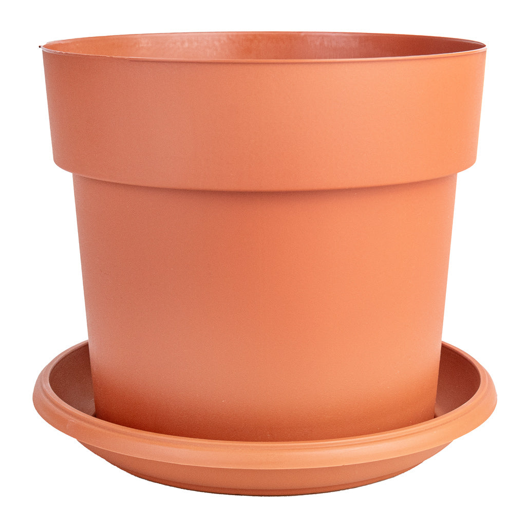 Houseplant Grow Pot & Saucer - Terracotta 