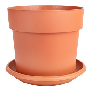 Houseplant Grow Pot & Saucer - Terracotta 