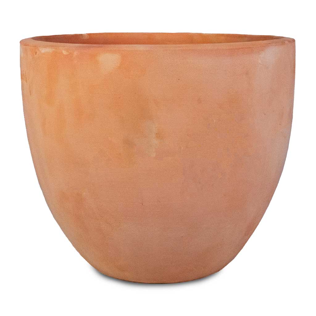 Terracotta Plant Pot