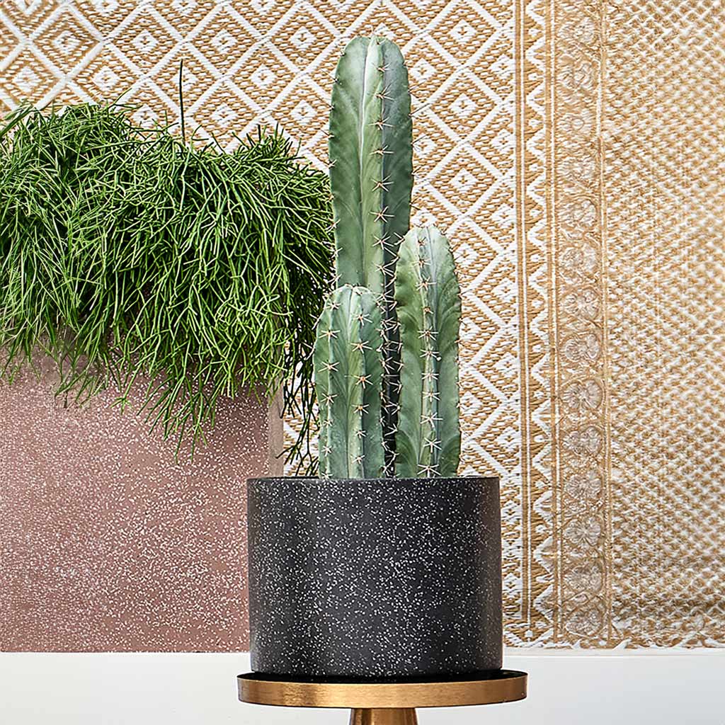 Terrazzo Cylinder Planter - Black & Cactus