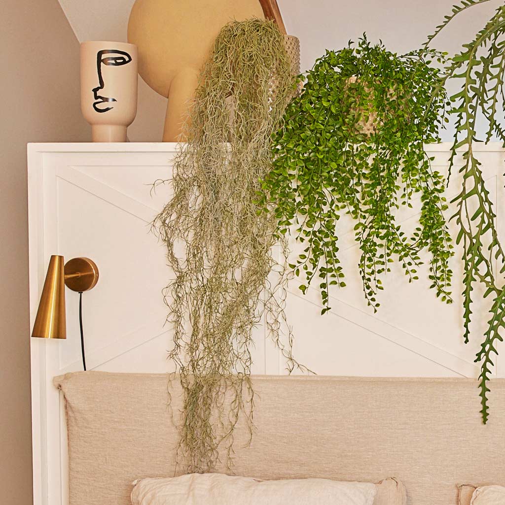 Tillandsia Hair Bush Artificial In Patt Hanging Pot Black Washed 