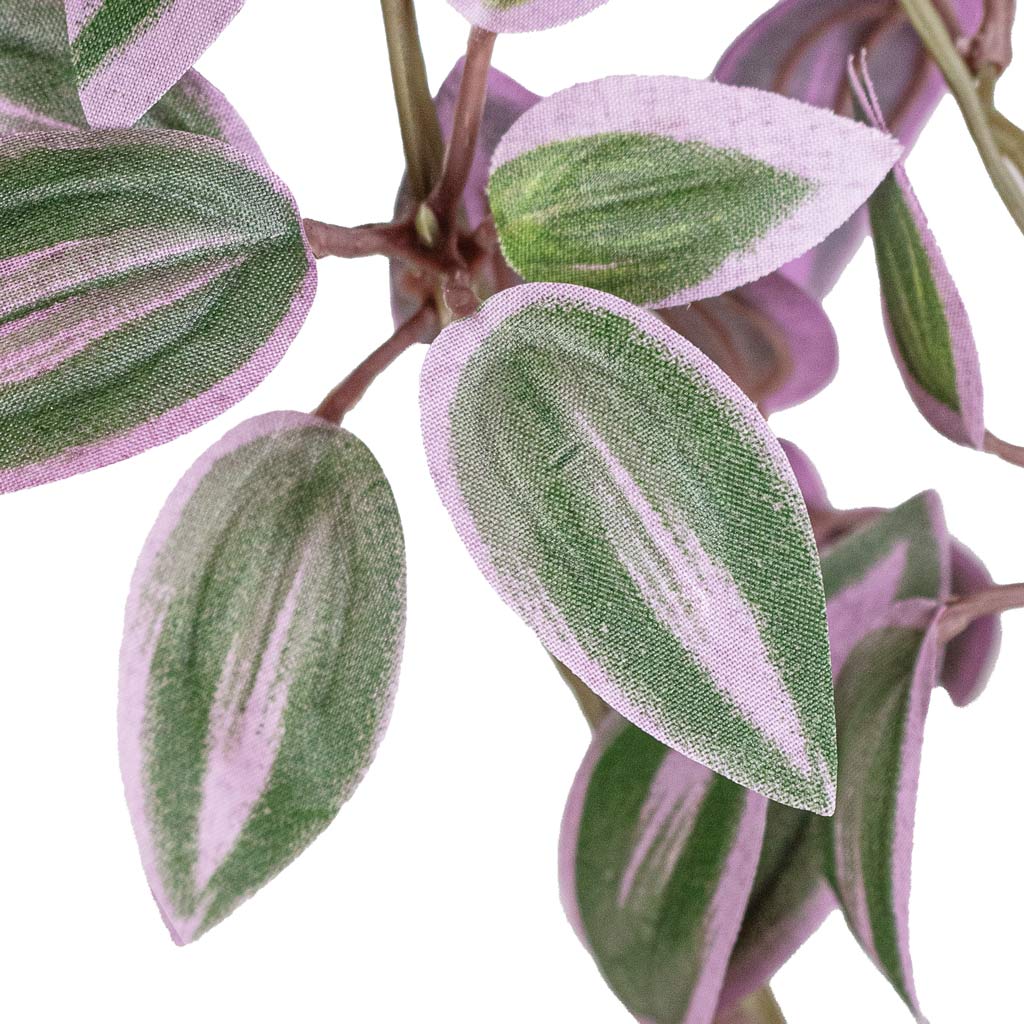 Tradescantia Hanging Bush Artificial Close Up Of Leaf