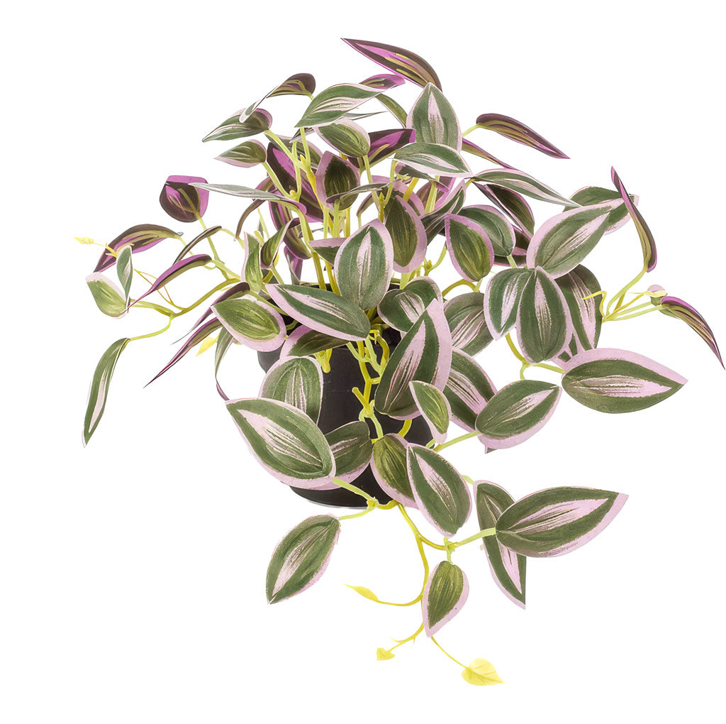 Tradescantia zebrina Potted 19cm Artificial