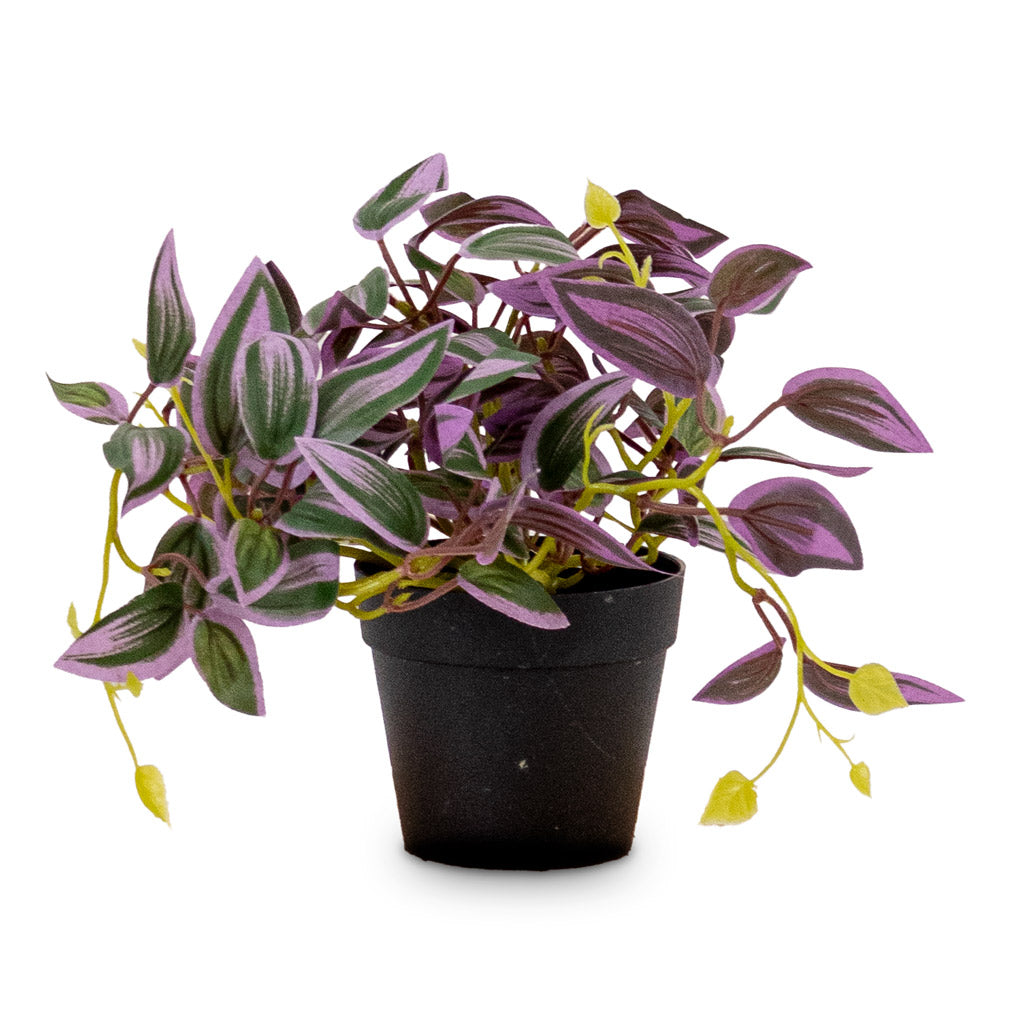 Tradescantia zebrina Potted Artificial 19cm