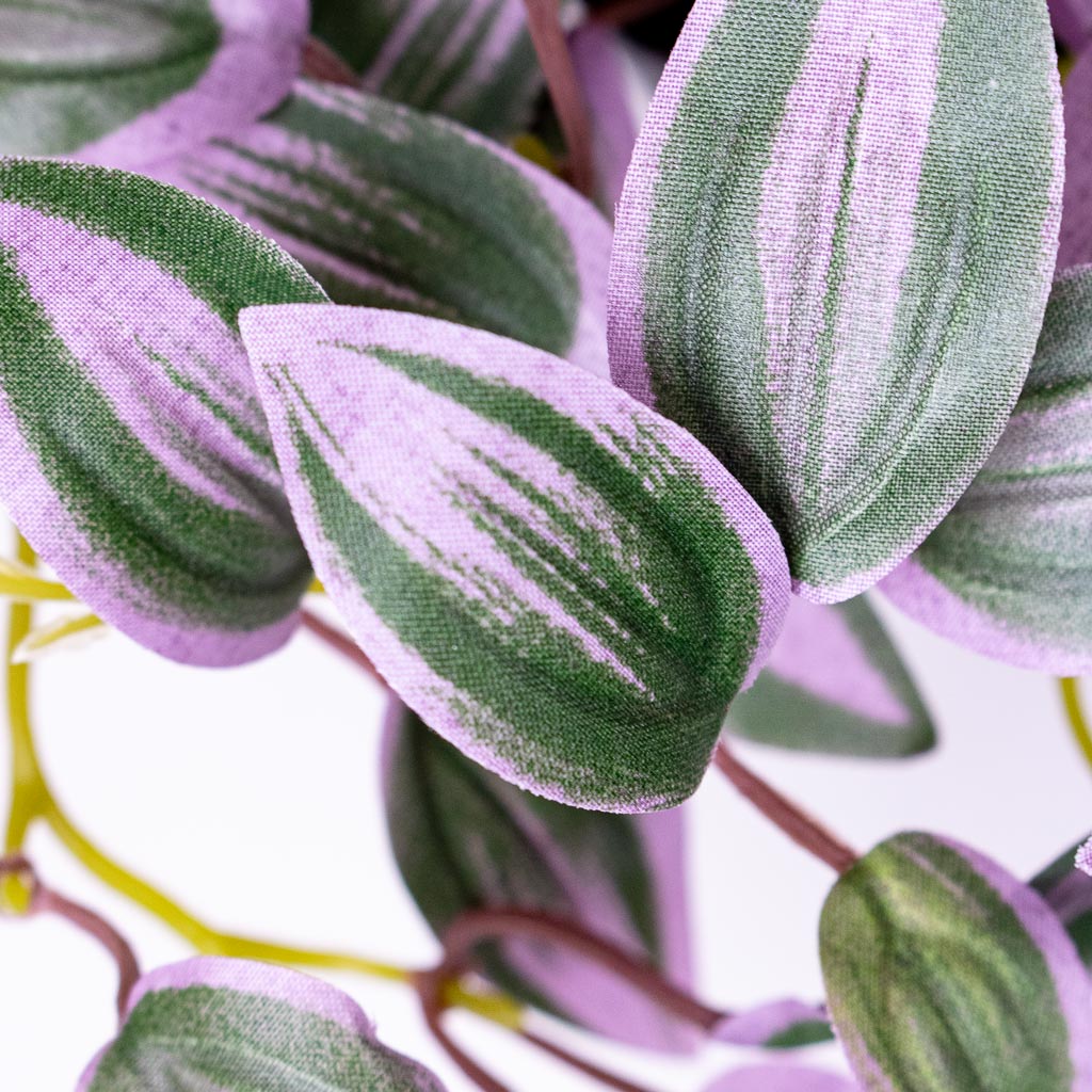 Tradescantia zebrina Potted Artificial Close up