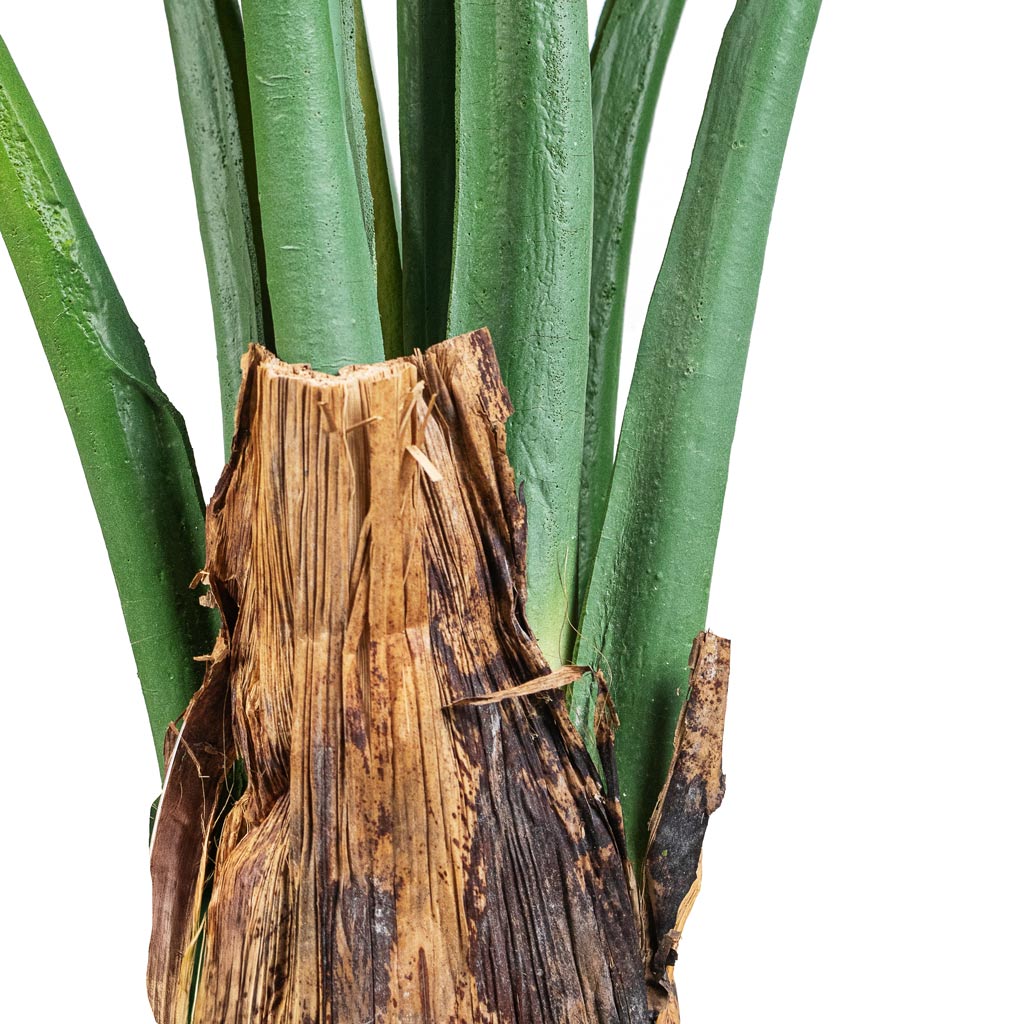 Tree Philodendron Artificial Stem & Wooden Trunk 