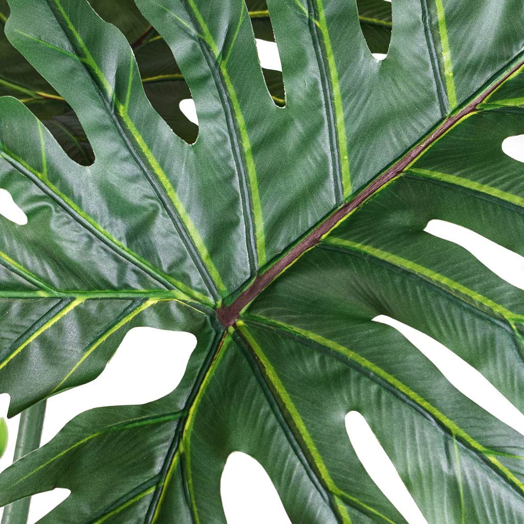 Tree Philodendron Artificial Close Up Of Leave With Detail