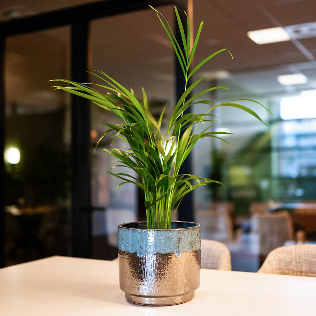 Vita Pot Lead Drip 23x20cm