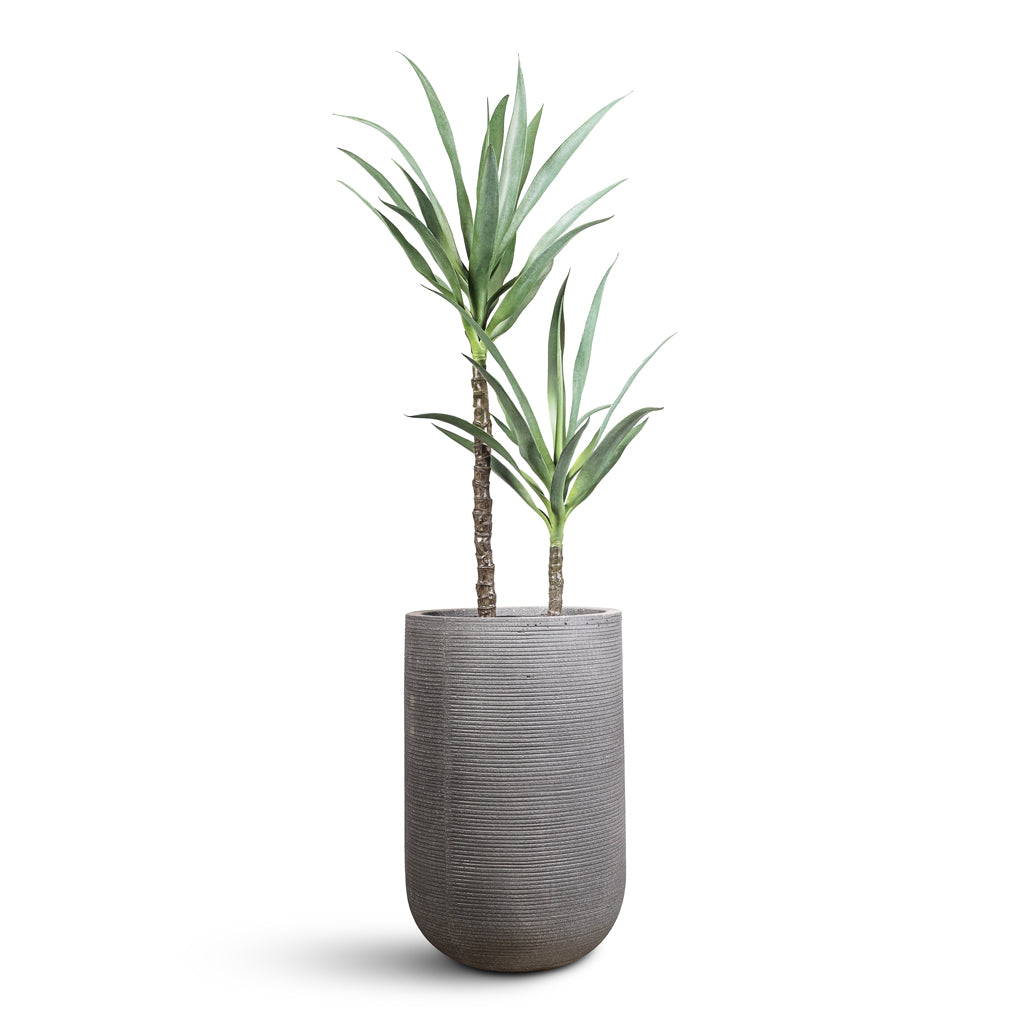 large grey indoor planter Cody Ridged Tall Planter - Dark Grey - Quality Plant Pots | Hortology