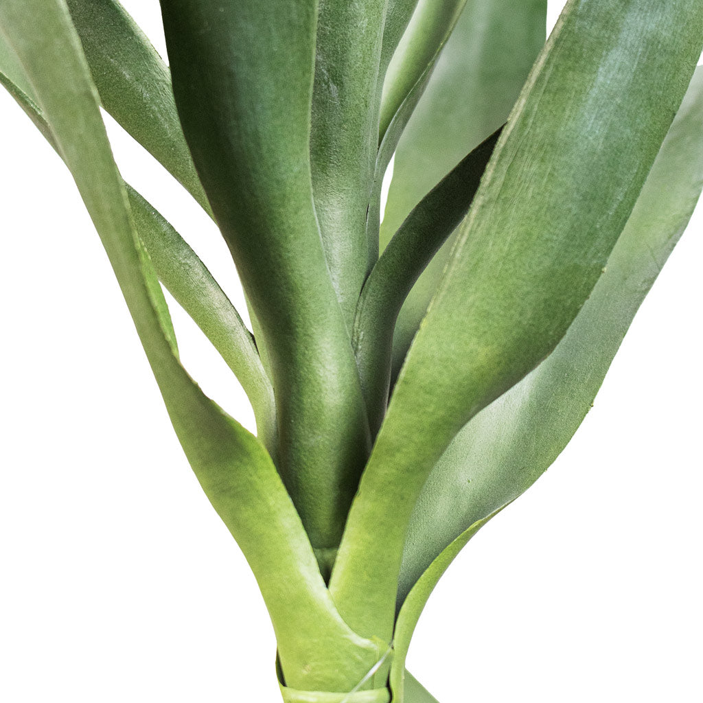 Yucca Artificial Leaf Close Up 