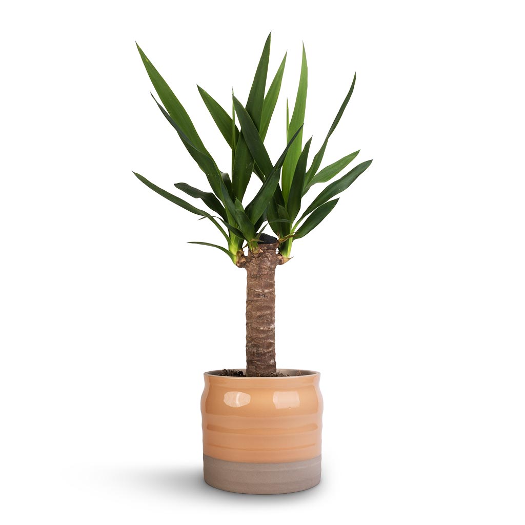 Puro Ripple Plant Pot - Peach