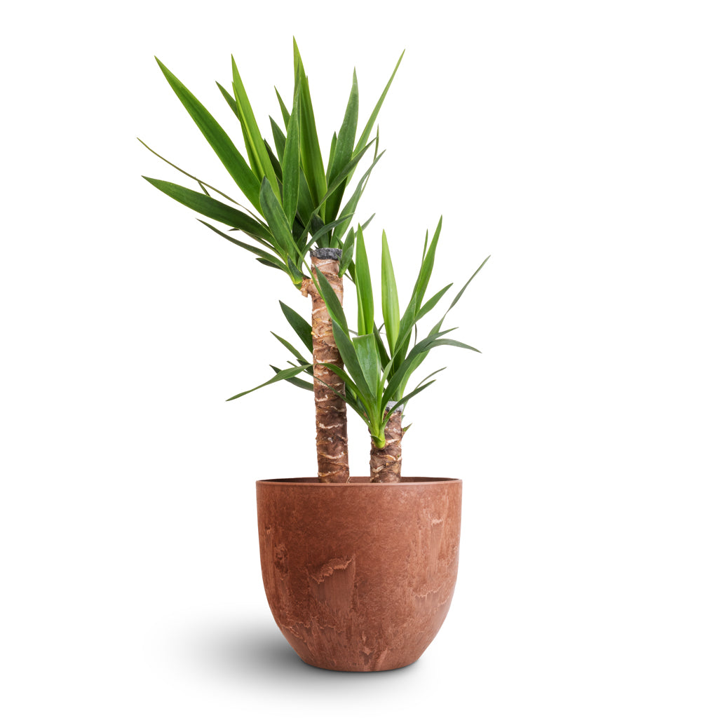 Bola Artstone Plant Pot - Oak