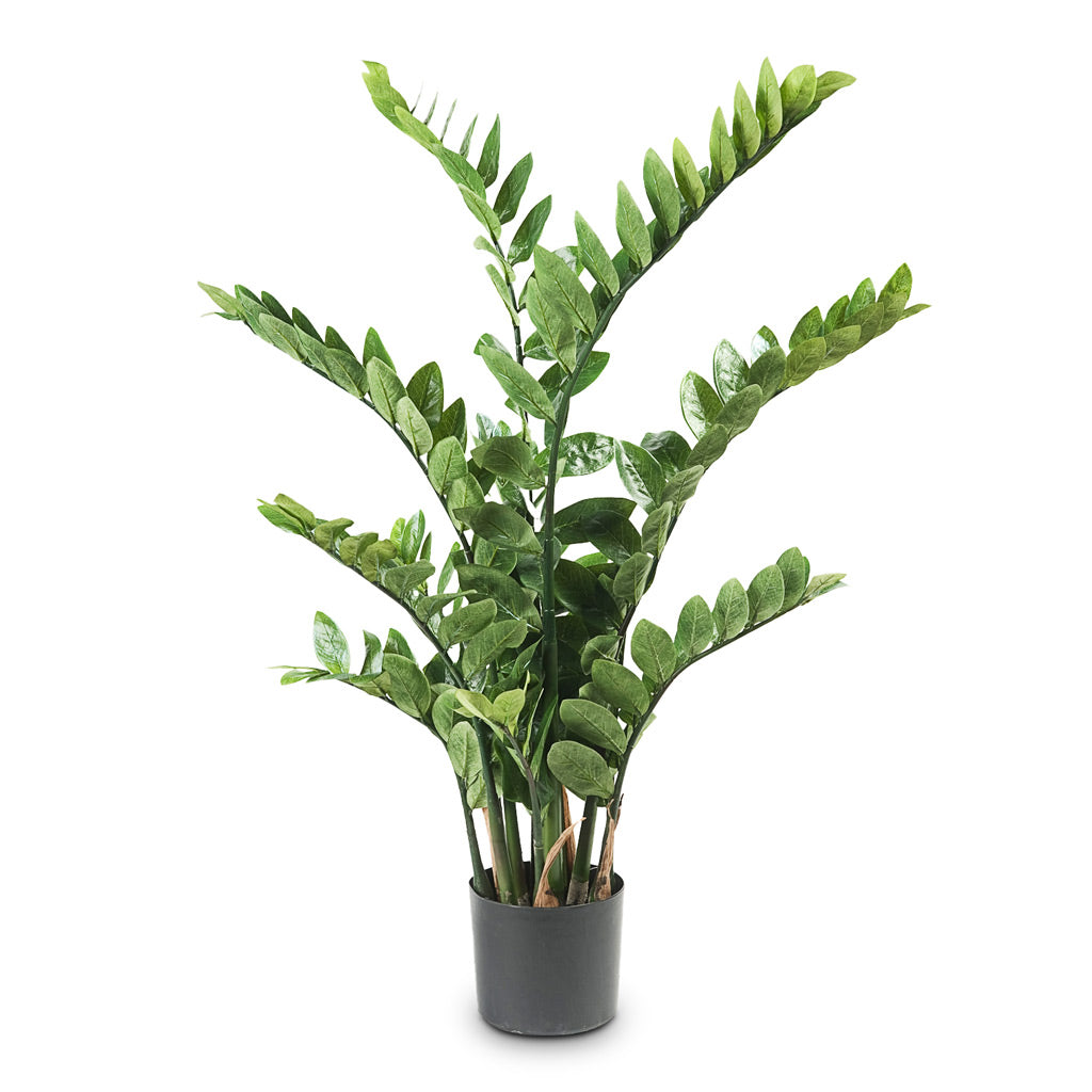 Zamioculcas Zamiifolia ZZ - Artificial - 110cm - (11 Stems)