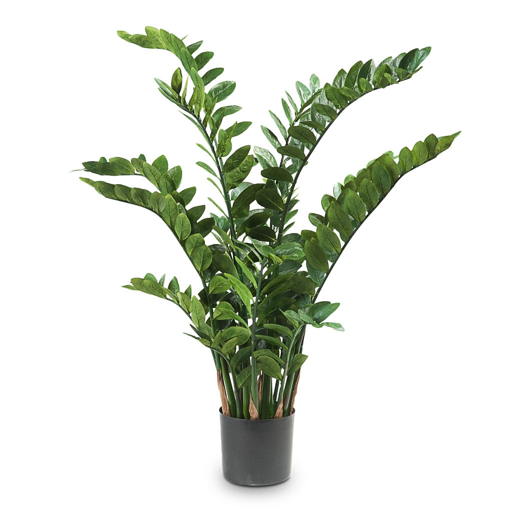 Zamioculcas Zamiifolia ZZ - Artificial - 130cm - (15 Stems)