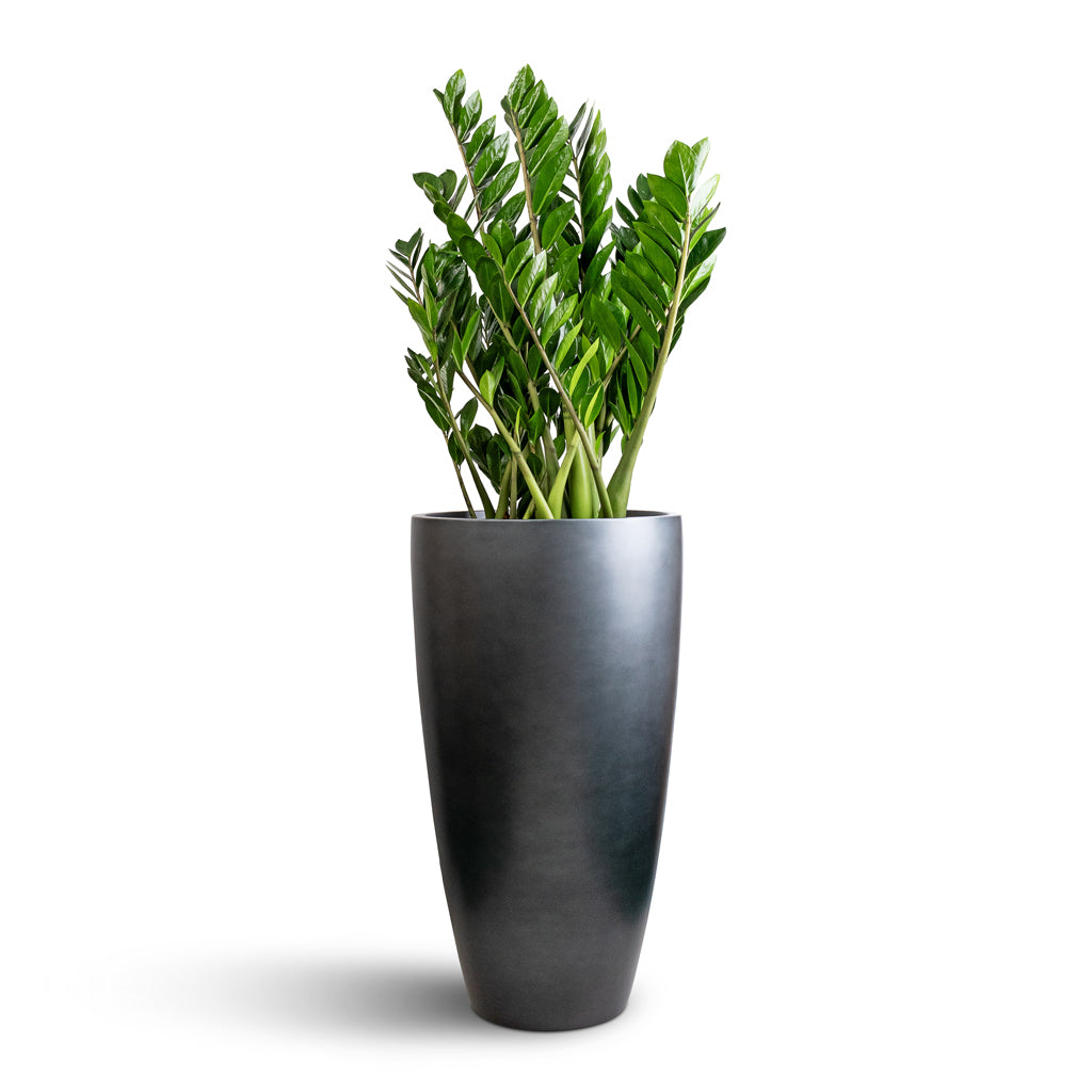 Gradient Partner Planter - Matt Grey