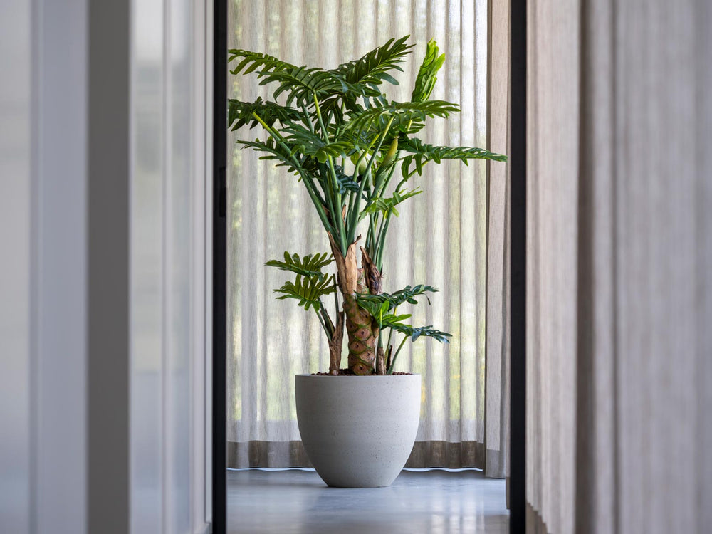 Artificial Office Plants