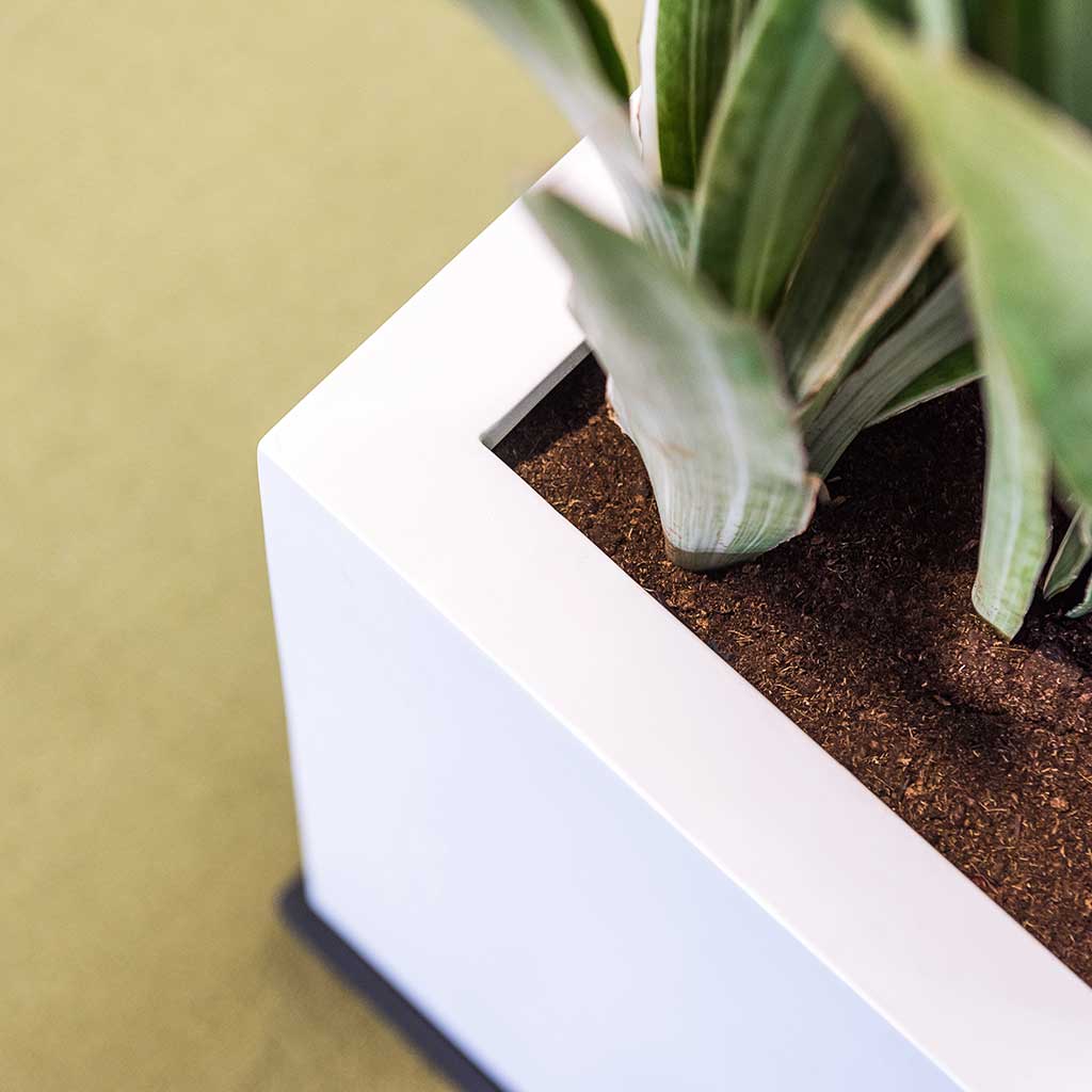 Block Essentials Planter - Matt White - Quality Planters | Hortology ...