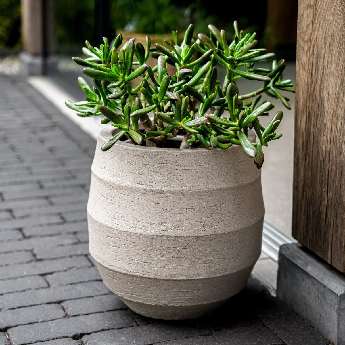 Bordo Cement Stone Planters