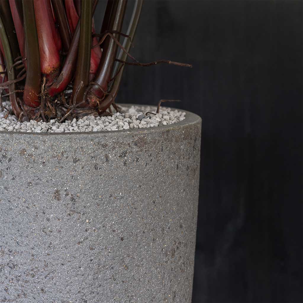 Cement and Stone Granite Planters