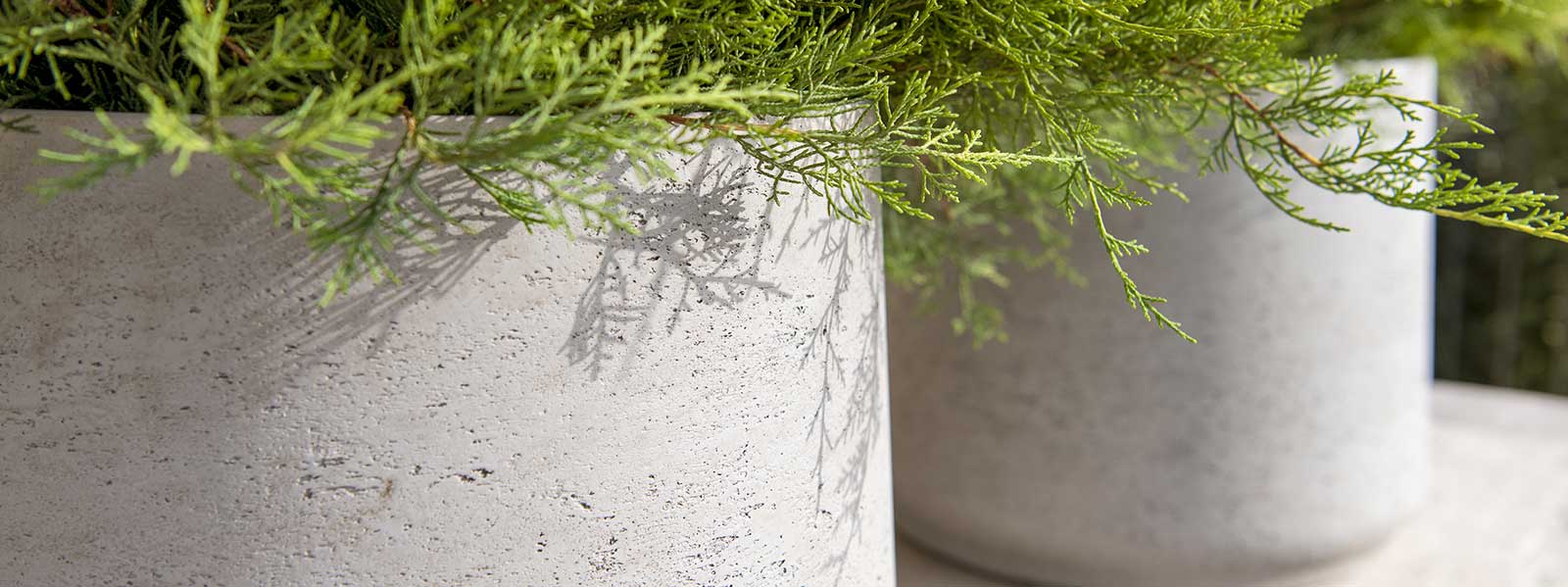 Cement and Stone Planters