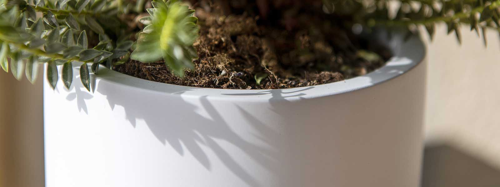 The Essentials Planter Collection