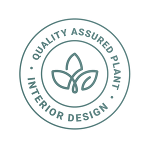 Quality Assured Succulent Houseplants - Hortology