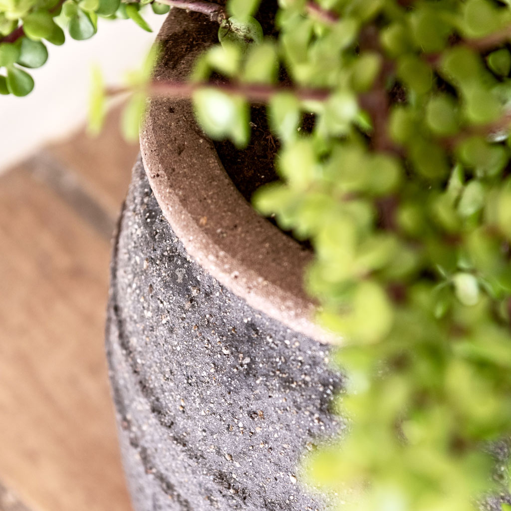 Mediterranean Cement Stone Planters Textures