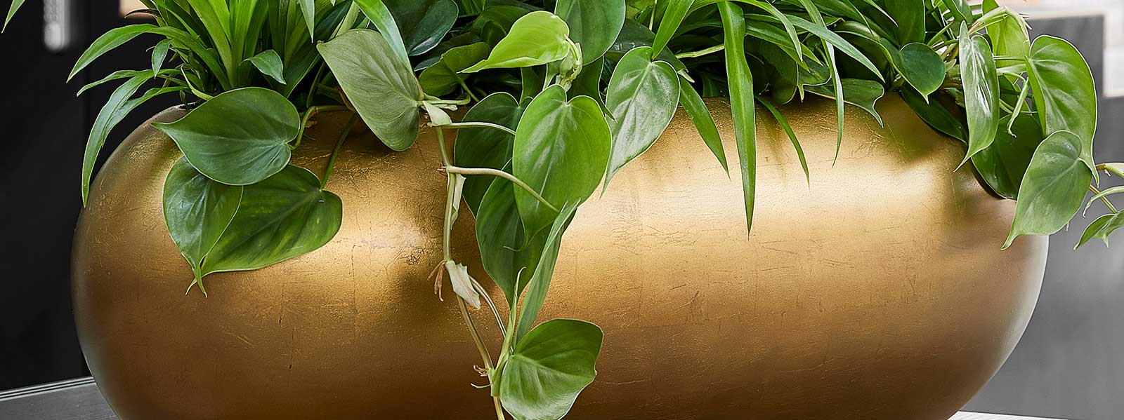 The Metallic Planters Collection