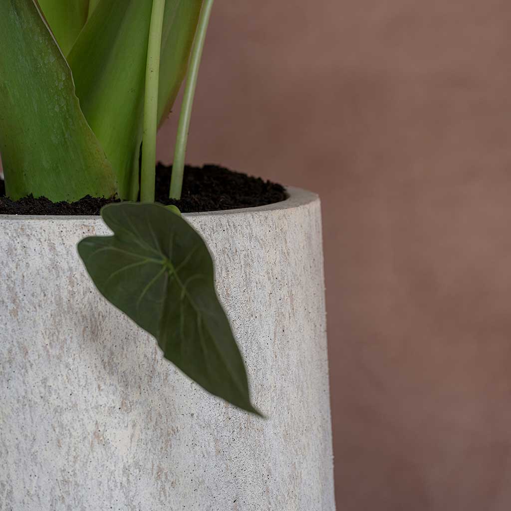 Mineral Travertine Cement Stone Planters Textures