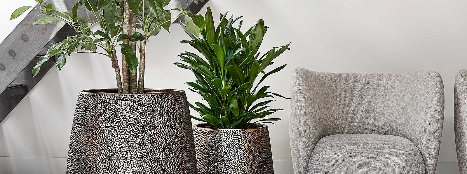 Opus Hit Collection Opus Hit Bowl Planter - Gold - Quality Planters | HORTOLOGY