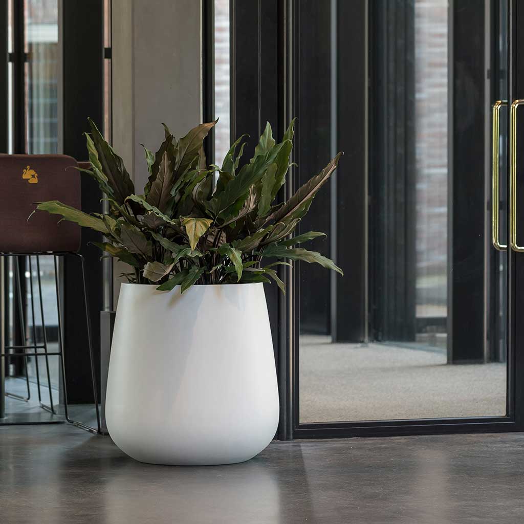 Pax Essentials Planter Matt White Quality Planters Hortology