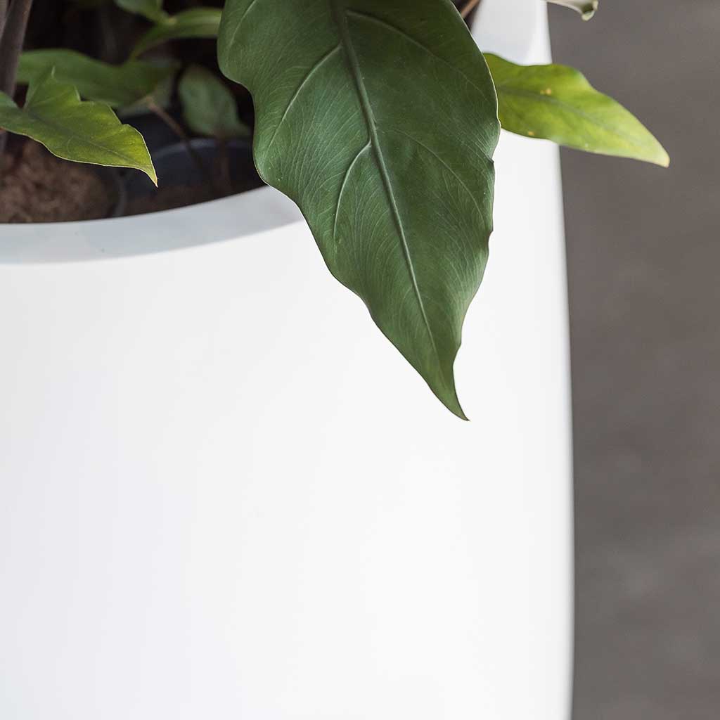 Pax Essentials Planter - Matt White
