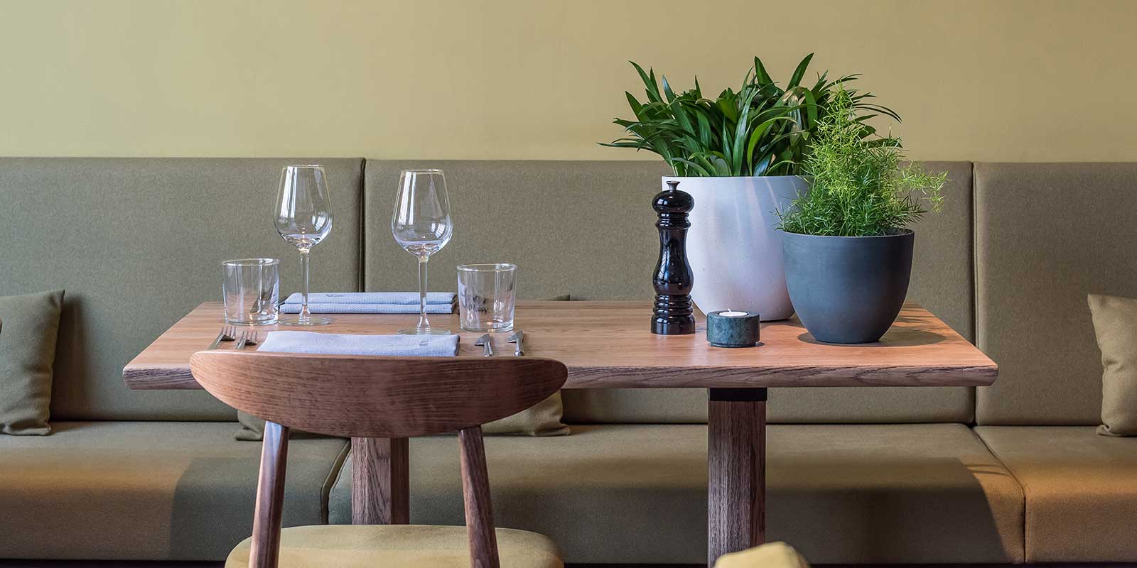 Plants For Bars, Restaurants & Hotels