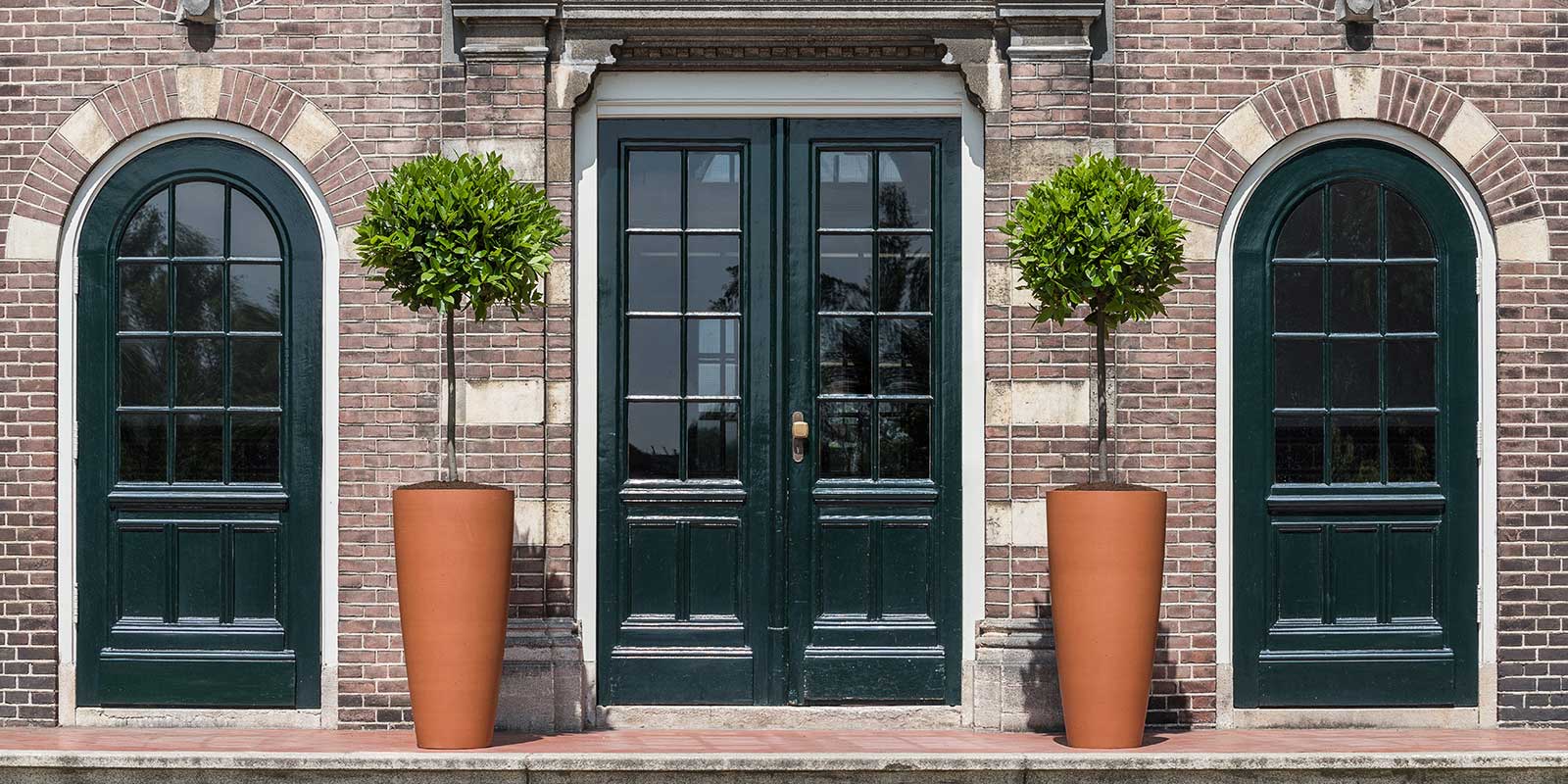 Plant & Planter Displays For Interior Designers