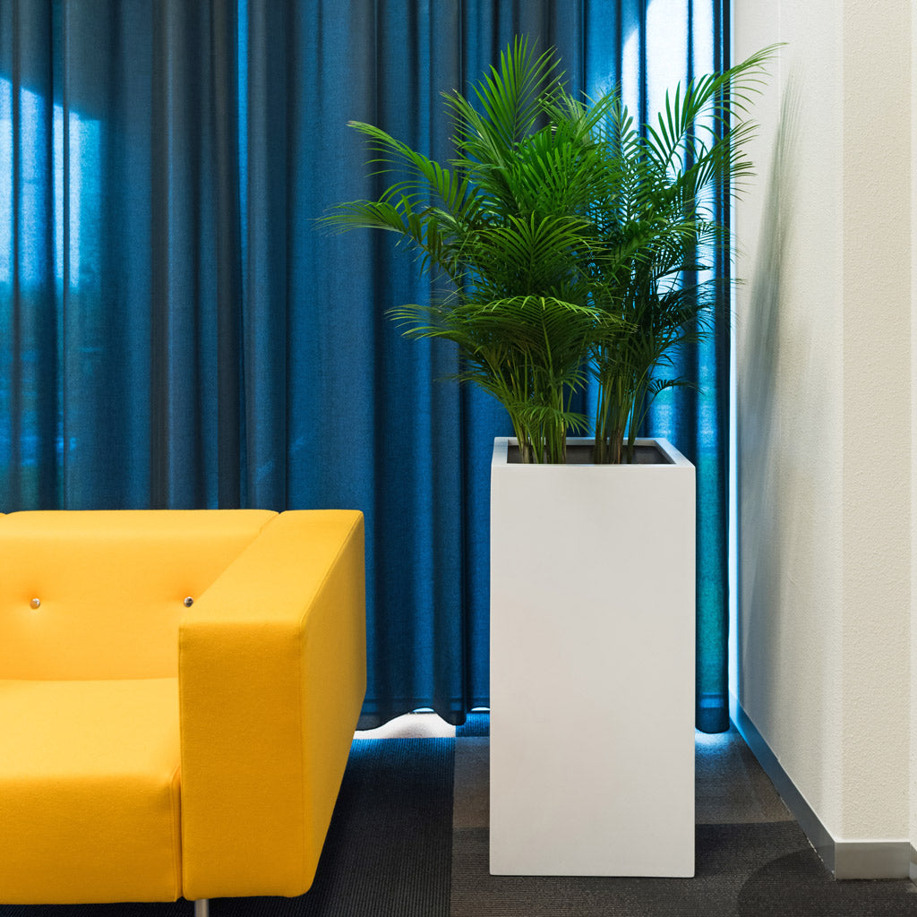 Bouvy Essentials Planter - Matt White & Palm