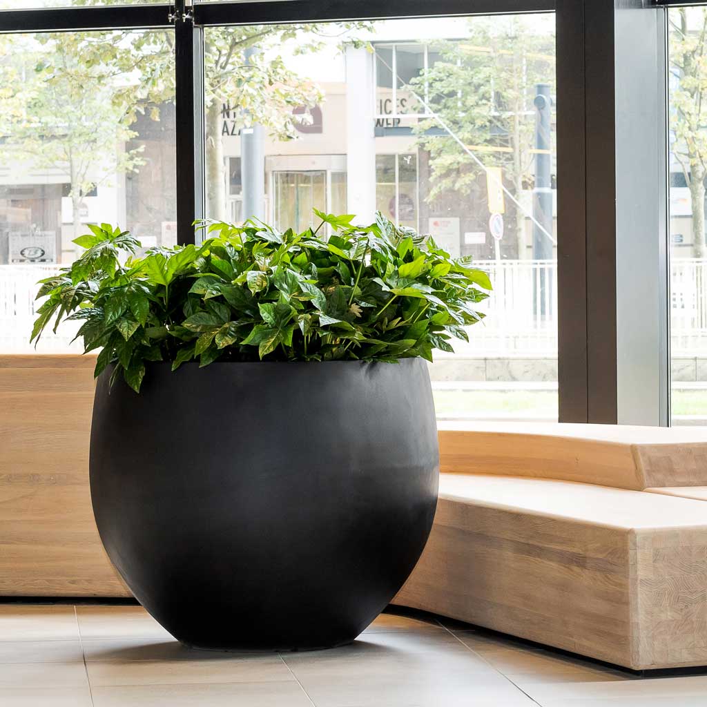 indoor extra large plant pots Jumbo Orb Natural Planter - Black - Quality Planters | Hortology