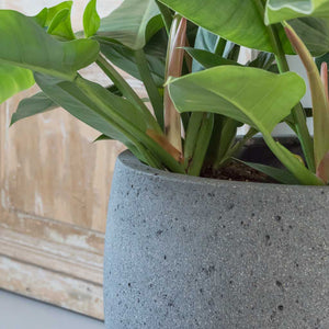 Cement & Stone Mini Orb Plant Pot - Granite Grey Close Up