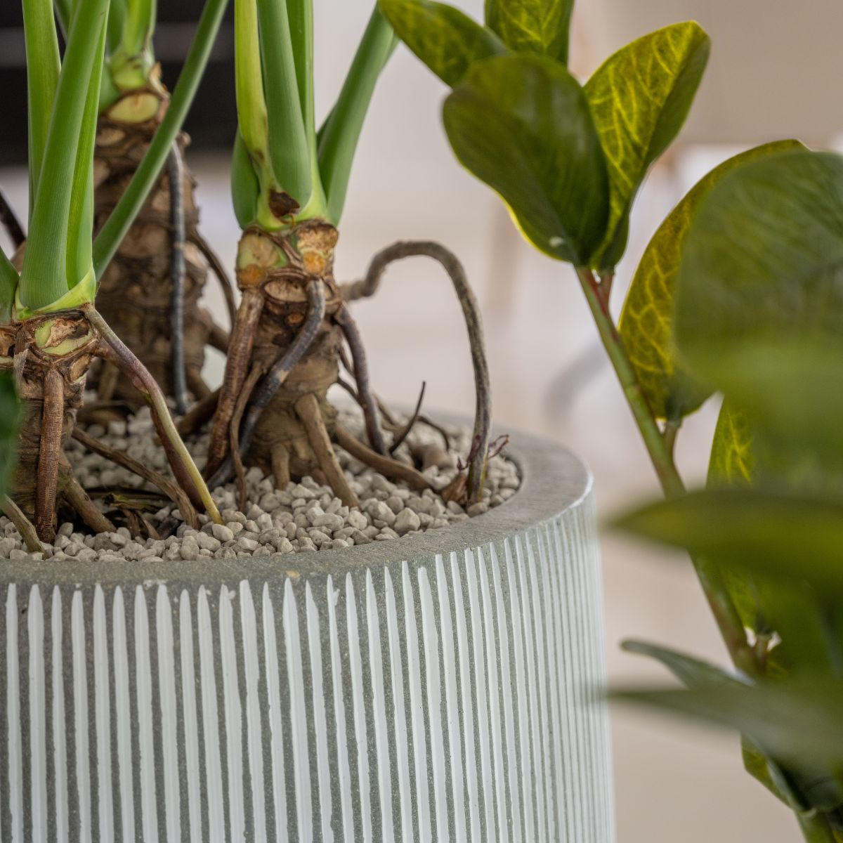 Ridged Cement Stone Planters Textures