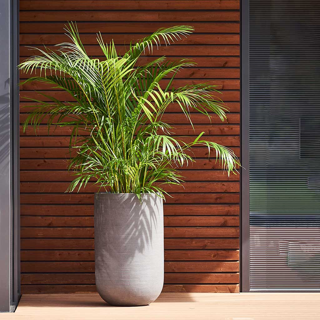 Ridged Cement Stone Planters