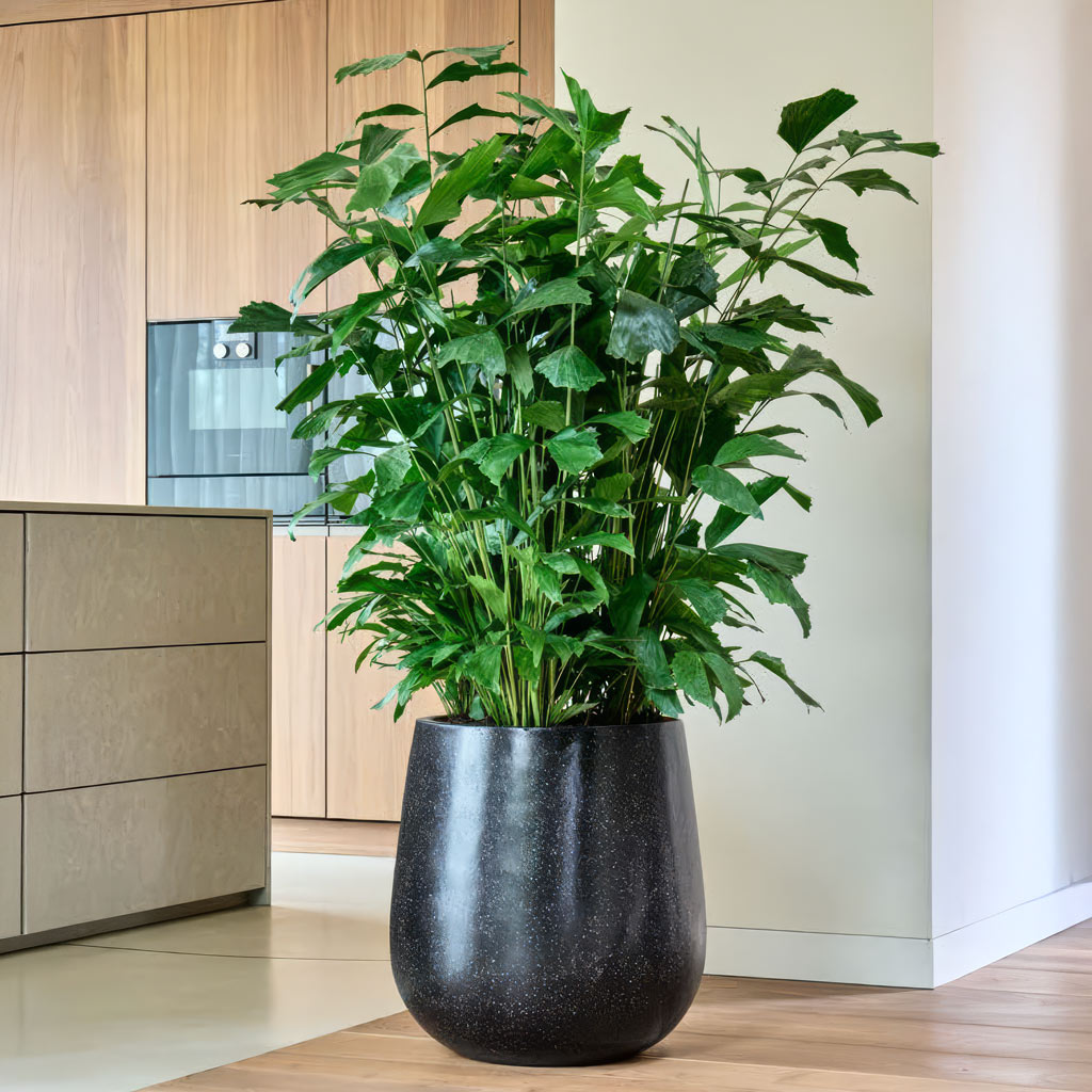 Terrazzo Black Solid Colour Planters